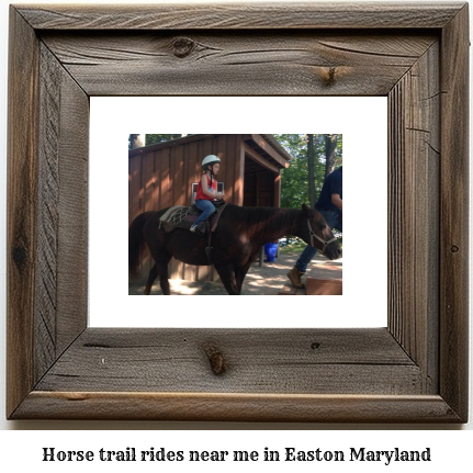 horse trail rides near me in Easton, Maryland